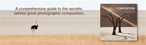 mastering composition the definitive guide for photographers PDF