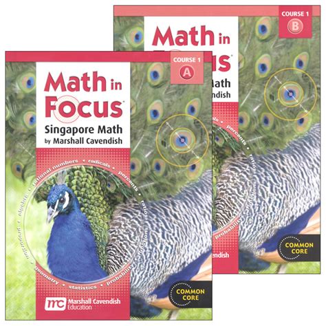 math in focus singapore math assessments course 1 Doc