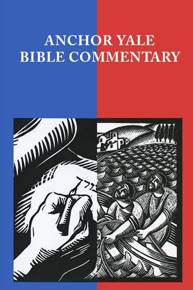 matthew the anchor yale bible commentaries volume 26 PDF