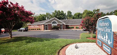 matthews animal clinic matthews nc