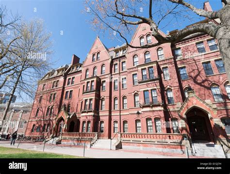 matthews hall harvard