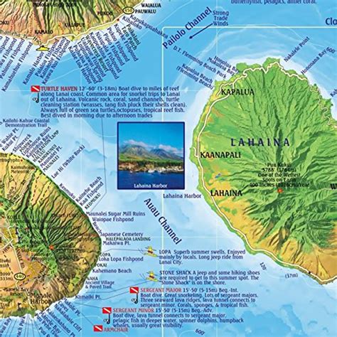 maui hawaii dive and snorkeling guide franko maps waterproof map Epub