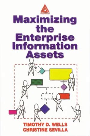 maximizing the enterprise information assets Kindle Editon