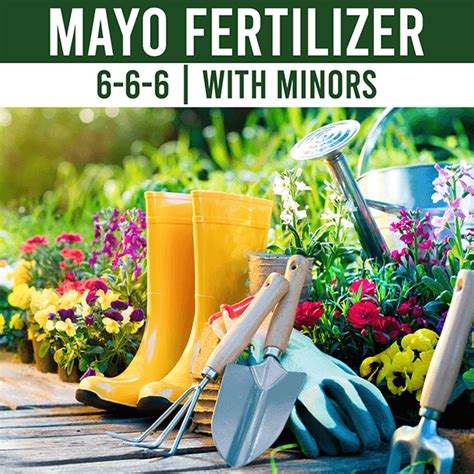 mayo fertilizer