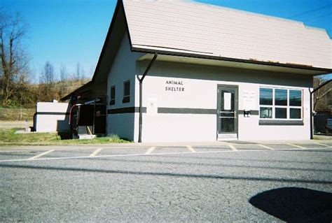 mcdowell county animal shelter