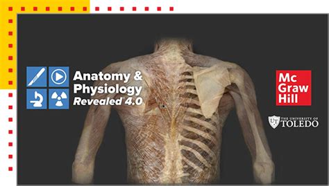 mcgraw_hill_online_quizzes_anatomy Ebook PDF