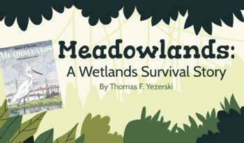 meadowlands a wetlands survival story PDF