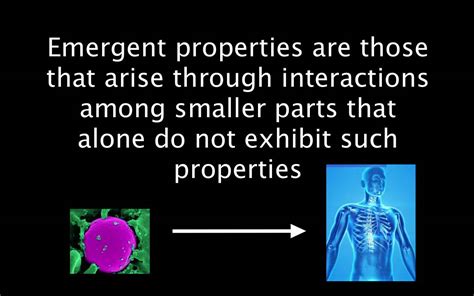 meaning of emergent