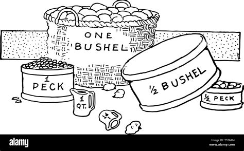 measurement peck and bushel