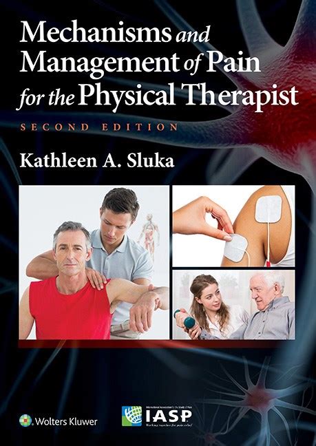 mechanisms and management of pain for the physical therapist PDF