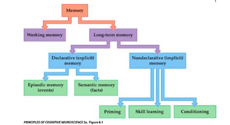 mechanisms of memory mechanisms of memory PDF