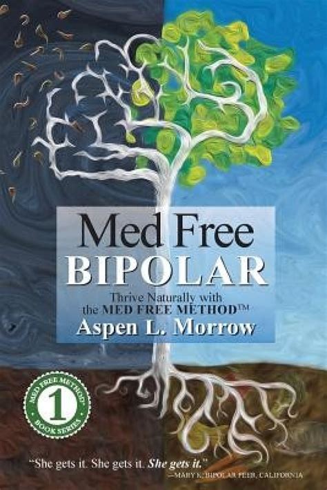 med free bipolar thrive naturally with the med free methodtm med free method book series volume 1 Kindle Editon