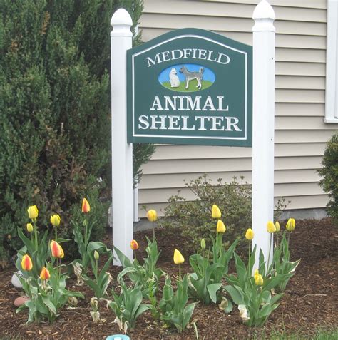 medfield animal shelter