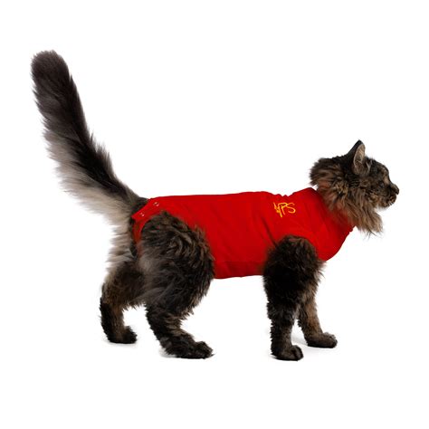 medical pet shirt