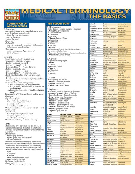 medical terminology basics medical terminology basics Epub