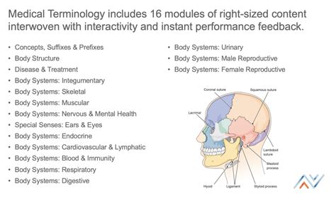 medical terminology class online