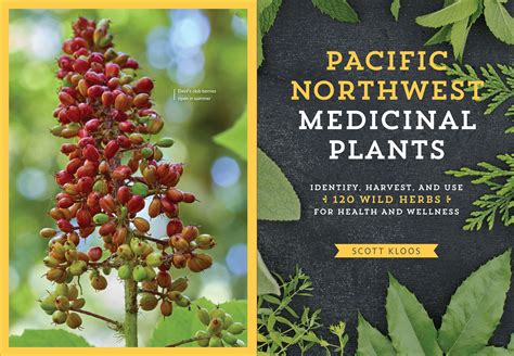 medicinal plants of the pacific west Doc