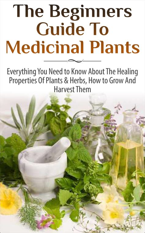 medicinal plants the healing properties of plants Epub