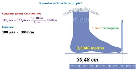 medida de un pie en centimetros