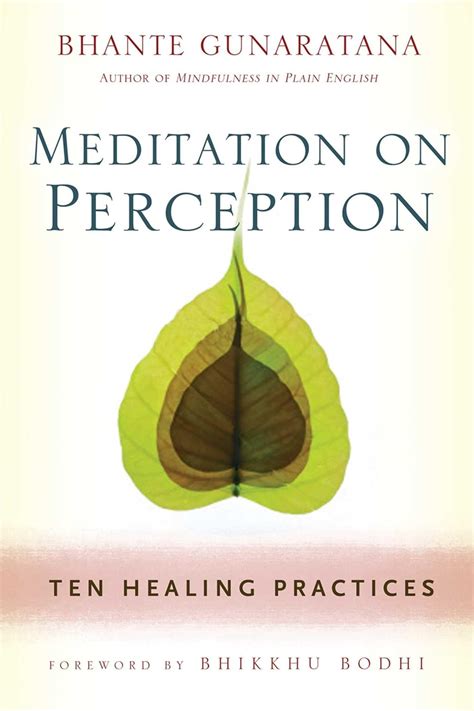 meditation on perception ten healing practices to cultivate mindfulness Doc