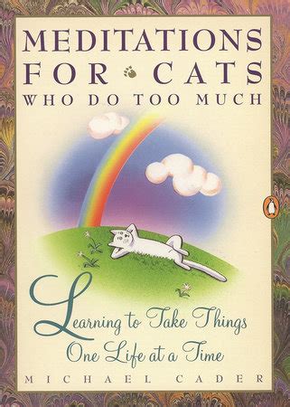 meditations for cats who do too much PDF