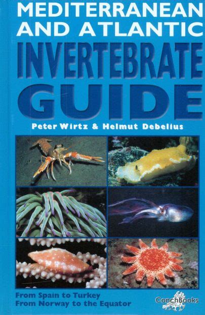 mediterranean and atlantic invertebrate 21 Doc