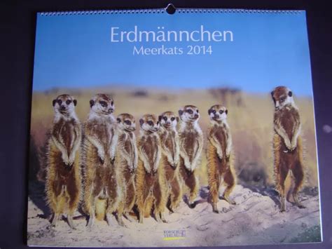 meerkats 2016 erdm nnchen kalender wonderful PDF