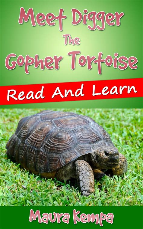 meet digger the gopher tortoise read and learn Epub