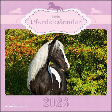 mein pferdekalender 2016 brosch renkalender tierkalender Reader