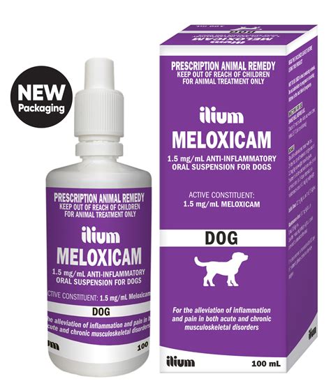 meloxicam dogs