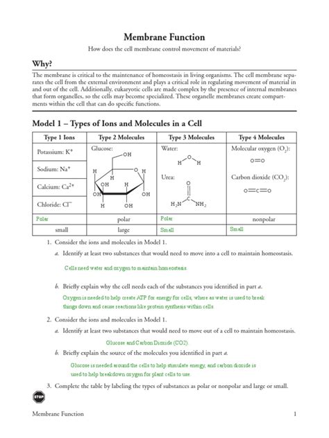 membrane and function pogil answer key Reader