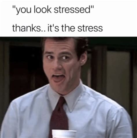Memes Stressed