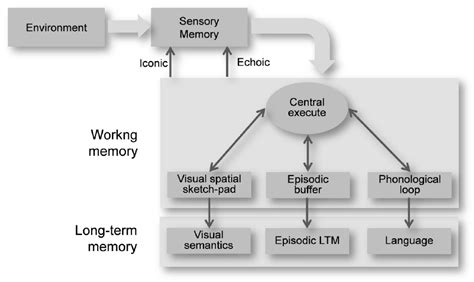 memory and representation memory and representation Reader