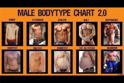 Men S Body Type Chart