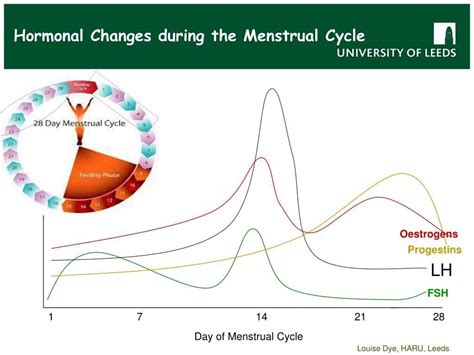 menstrual cycle graphing lab answer key Kindle Editon