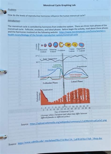 menstrual cycle graphing lab answers Doc