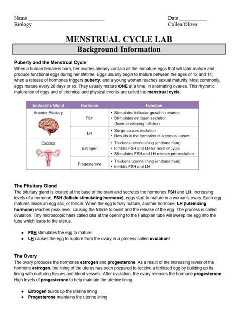 menstrual cycle lab answers Reader