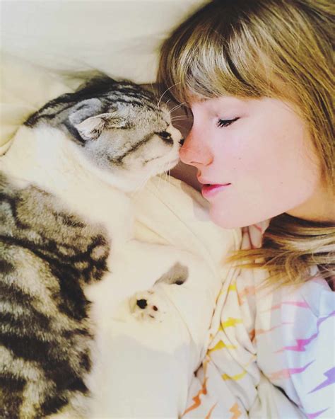 meredith cat taylor swift