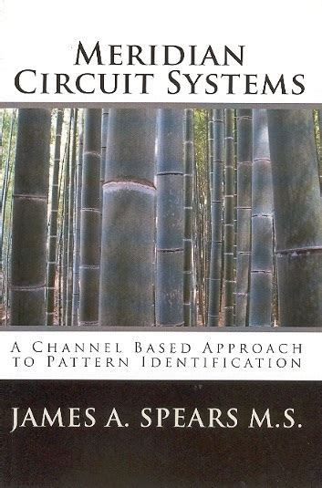 meridian circuit systems a channel based approach to pattern identification Doc