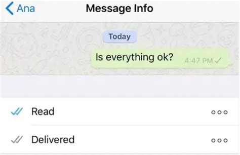 message on whatsapp not delivered