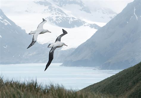 met de albatros op diepzeeexpeditoie Reader
