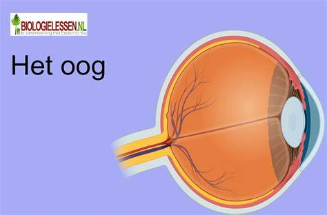 met het oog op de dood Epub