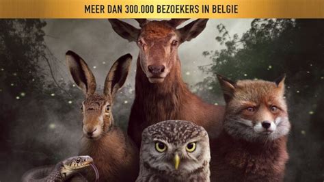 met spiedend oog door de natuur fauna en flora in 300 fotos Reader