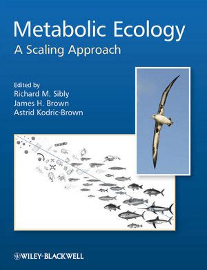 metabolic ecology a scaling approach PDF