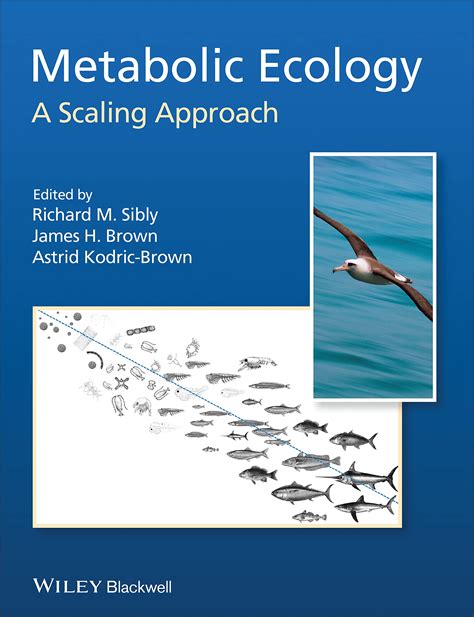 metabolic ecology a scaling approach PDF