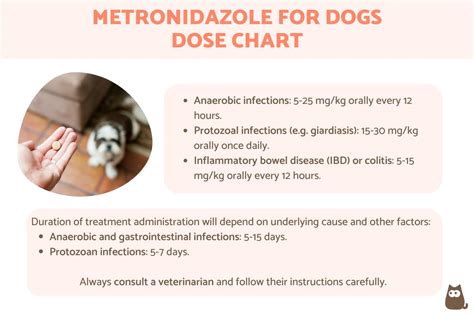 metronidazole dosage for dogs