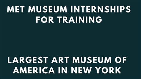 metropolitan museum internship