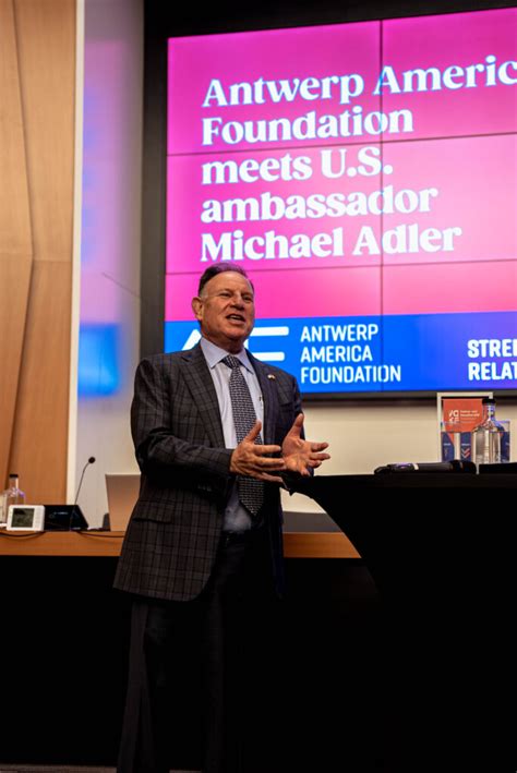 michael adler report what is it about