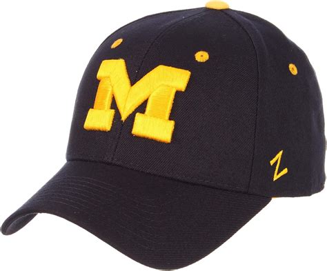 michigan hats