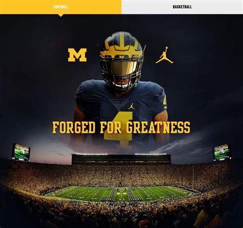 michigan jordan